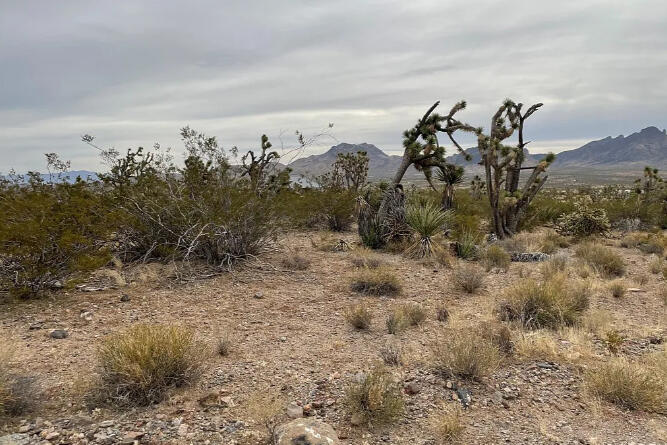 Mohave 1.07 Acres, 328-02-491
