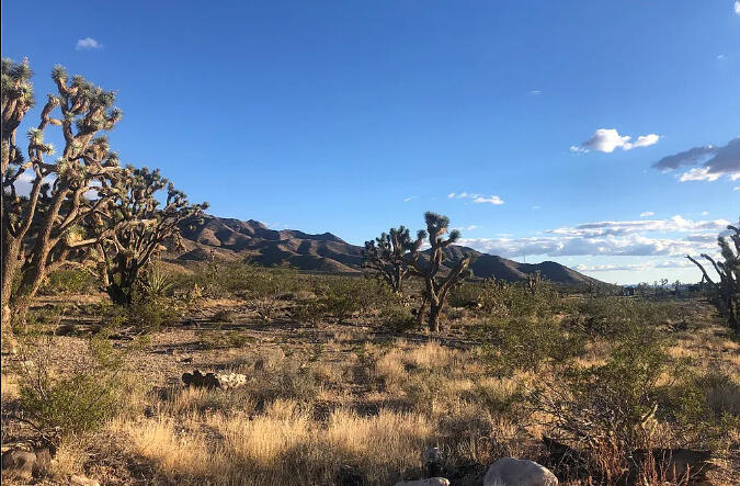 Mohave 1.07 Acres, 328-02-491