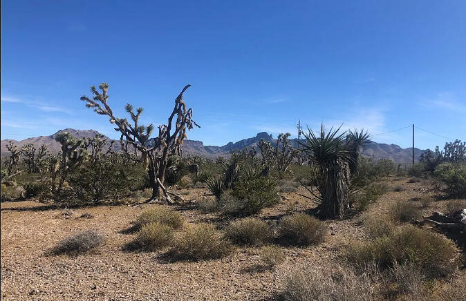 Mohave 1.07 Acres, 328-02-491