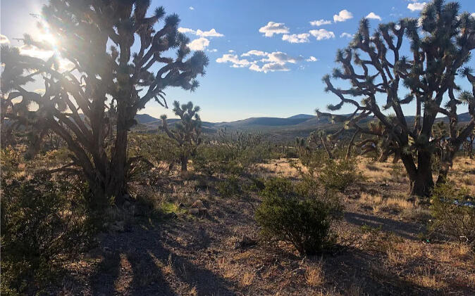 Mohave 1.07 Acres, 328-02-491