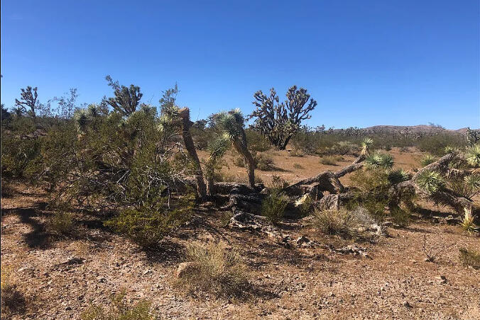 Mohave 1.07 Acres, 328-02-491